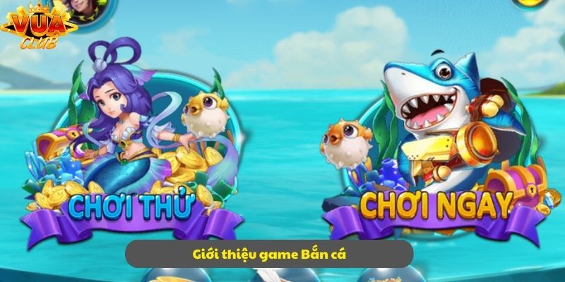 Khám phá để hiểu hơn về bắn cá