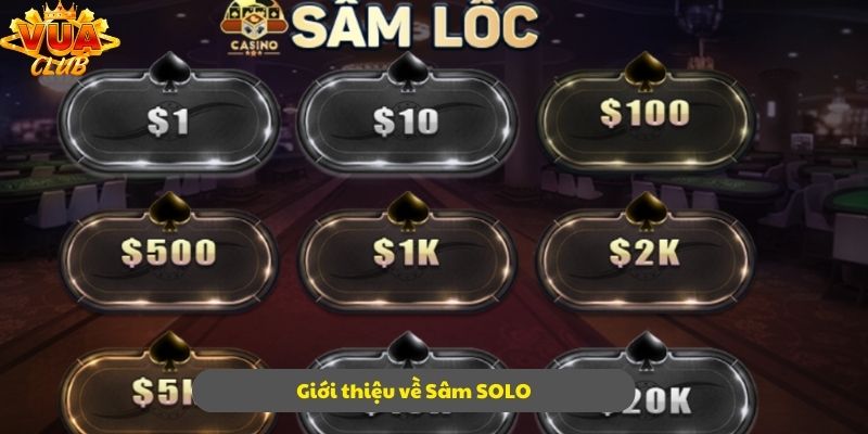 Tìm hiểu thông tin chính xác về sản phẩm Sâm SOLO