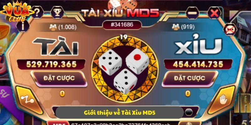 Vài thông tin cơ bản giới thiệu về Tài Xỉu MD5